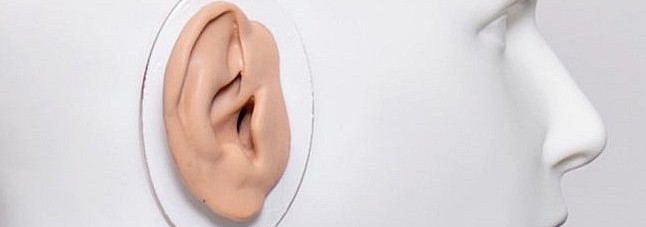 CARL – der Simulationspatient für personalisiertes und skalierbares Praxislernen